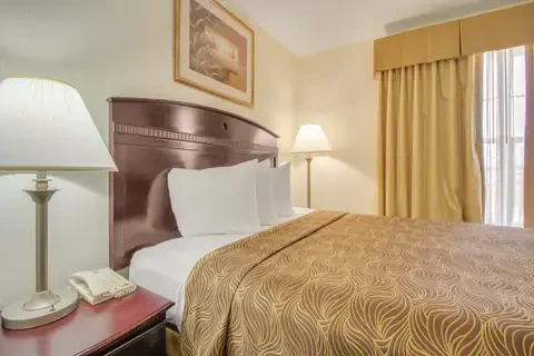 1 Queen Bed, 1 Room Suite, Kitchen