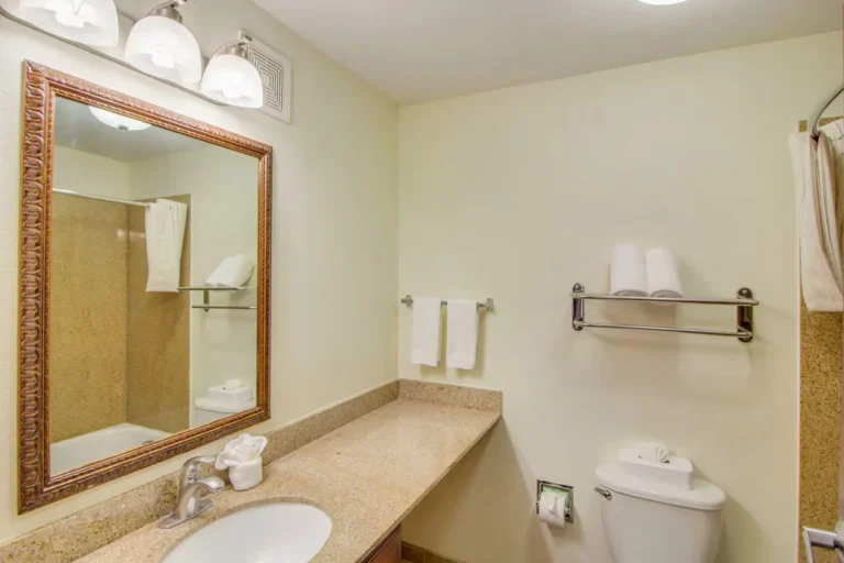 MainStay Suites Texas Medical Center/Reliant Park - 18