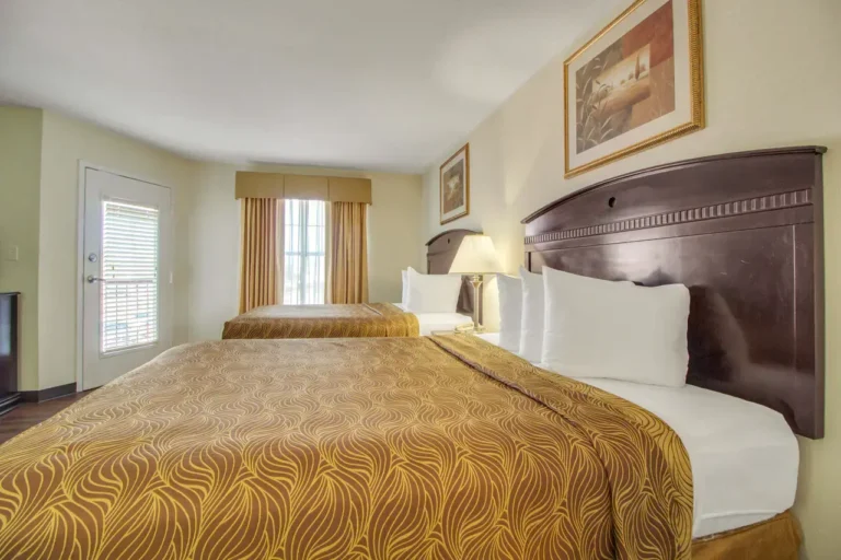 MainStay Suites Texas Medical Center/Reliant Park - 25