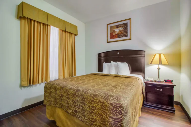 MainStay Suites Texas Medical Center/Reliant Park - 19