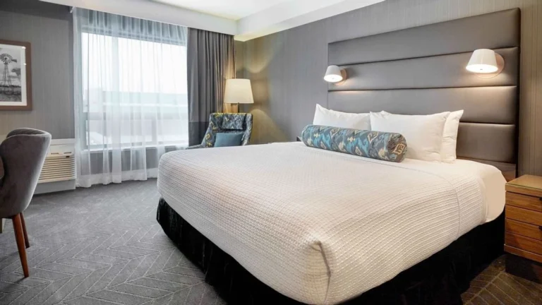 Standard Room, 1 King Bed