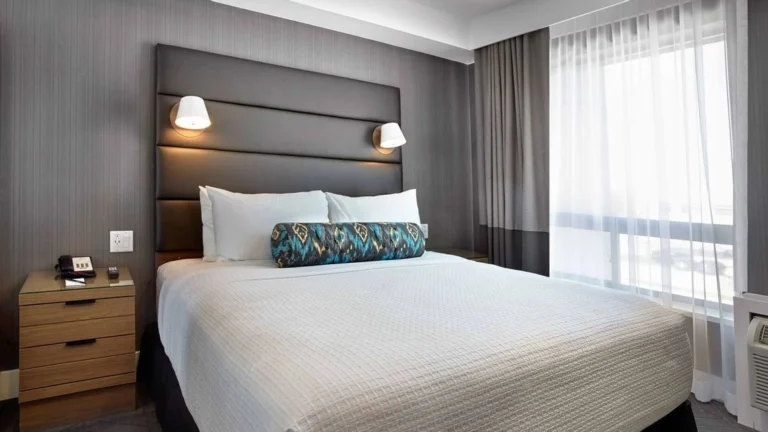 Standard Suite, 1 King Bed, Sofa Bed, Kitchen