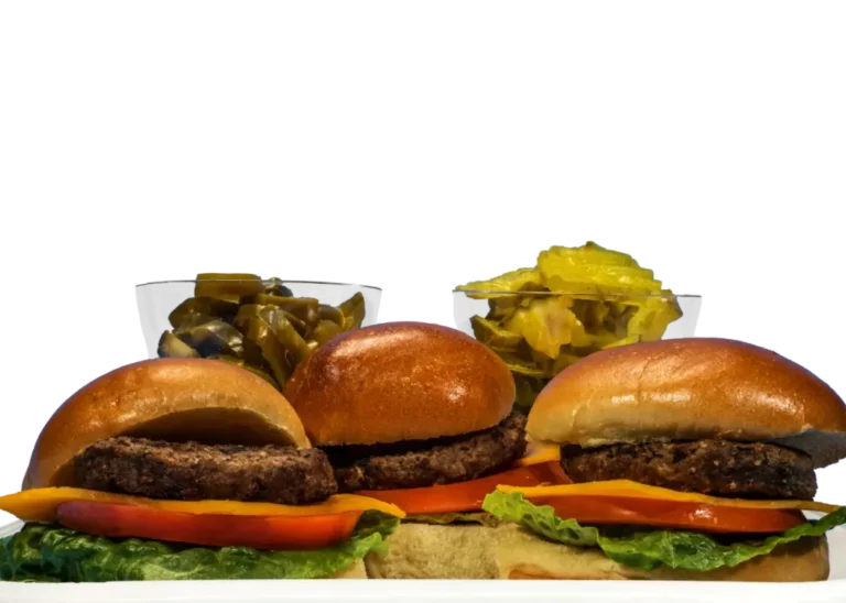 Burger Slider