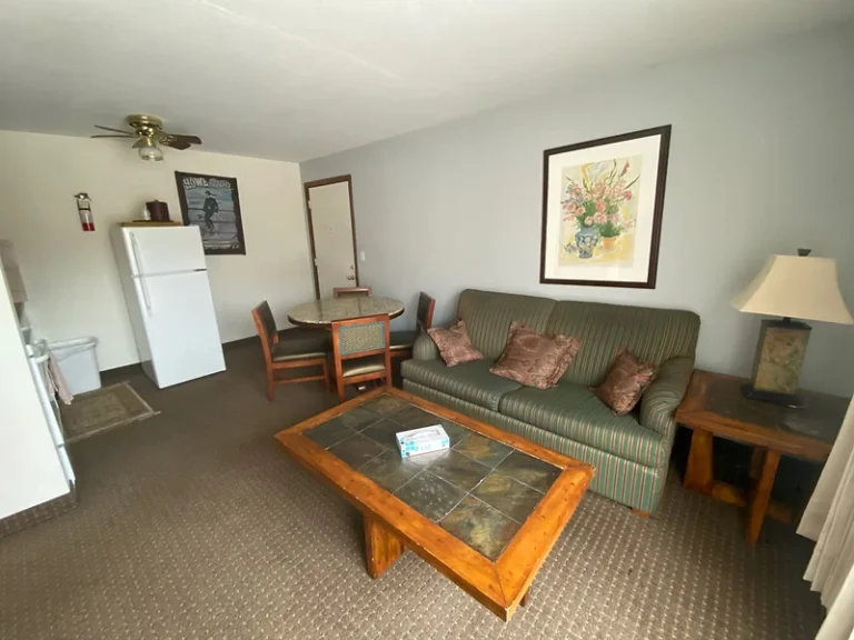 Snowshoe Motel – Frisco Summit County - 4