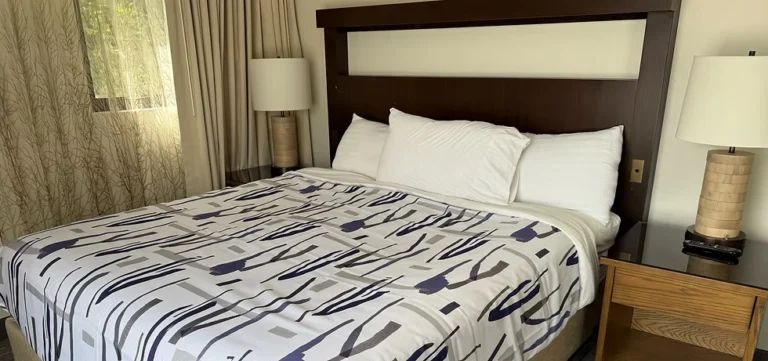 One-Bedroom Suite
