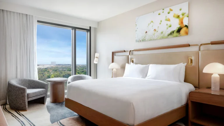 Deluxe King, Guest room, 1 King
