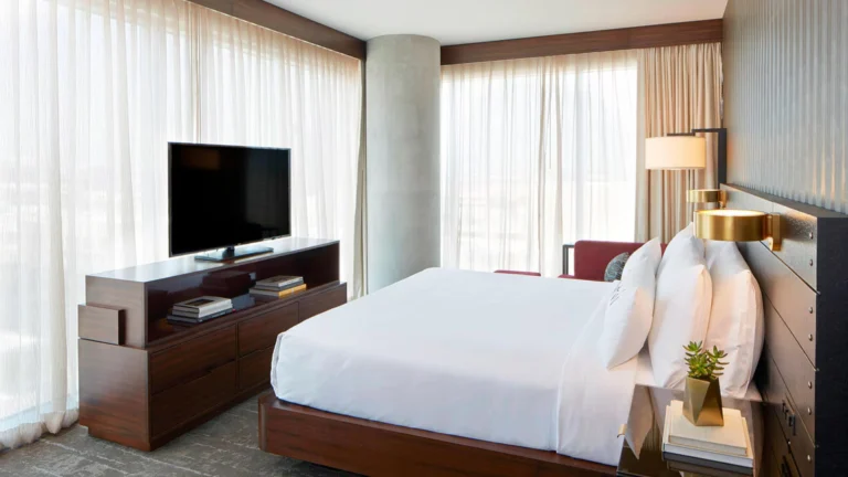 1 King Bed, Junior Suite