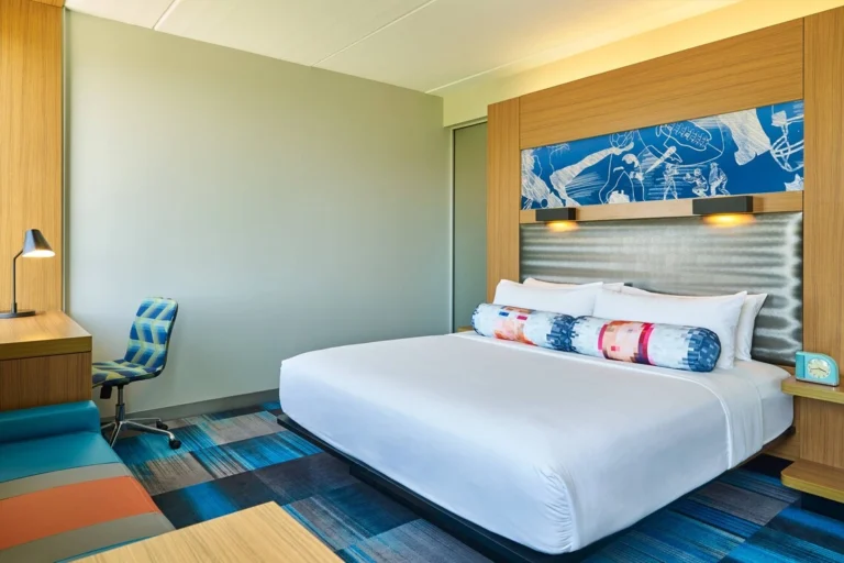 Guest room, 1 King