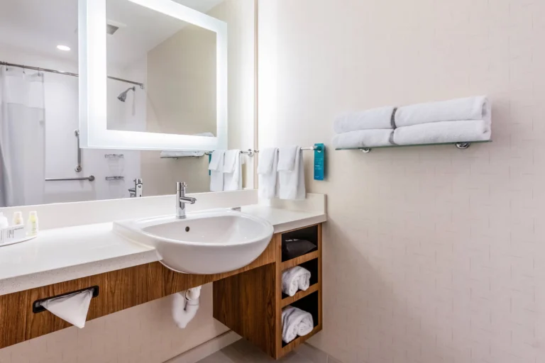 SpringHill Suites by Marriott Dallas Plano/Frisco - 4