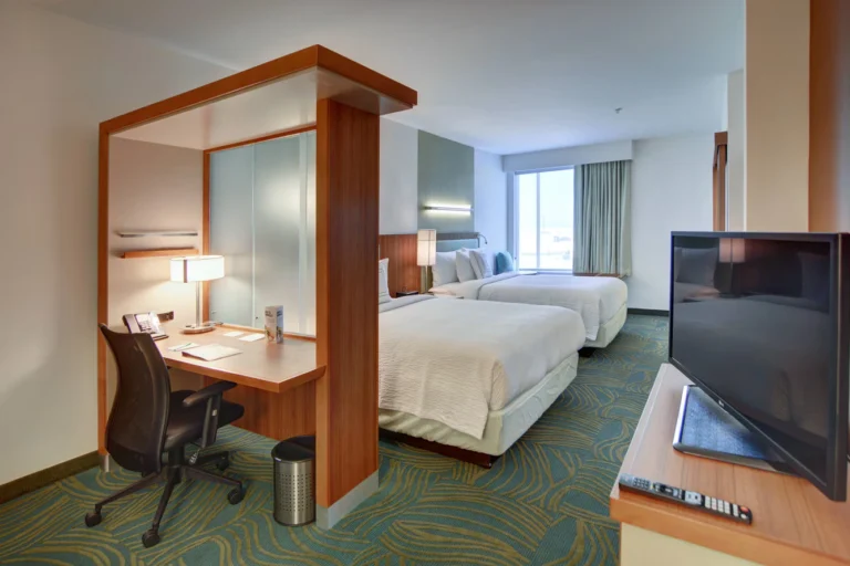 SpringHill Suites by Marriott Dallas Plano/Frisco - 19