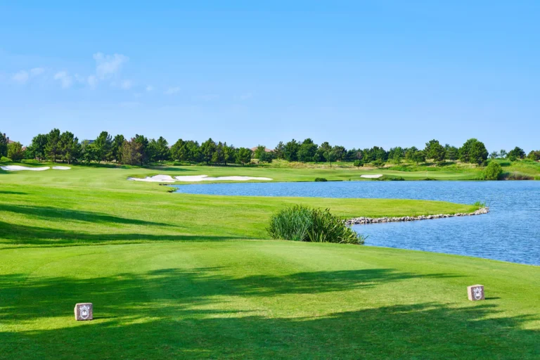 The Westin Dallas Stonebriar Golf Resort & Spa - 13