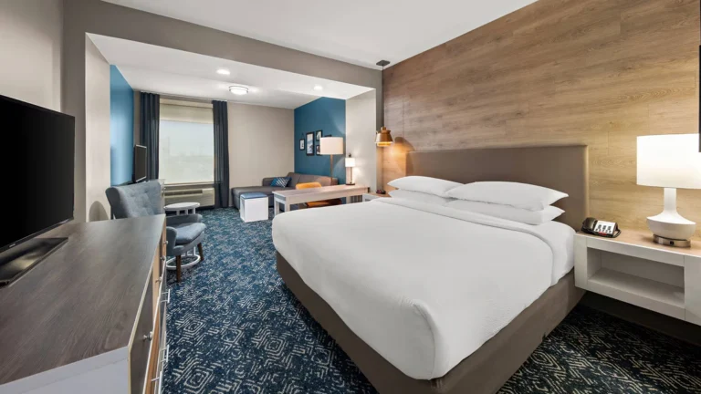 Suite, 1 King, Sofa bed
